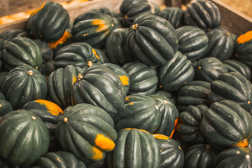 Fototapeta na wymiar pumpkins for sale at farmers market