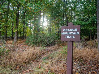 trail in the park in the fall