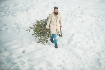 Fototapeta na wymiar Woodcutter with axe in the winter forest. Purchase and delivery of conifer on Christmas Eve. Winter portrait of lumber in snow Garden cutting Christmas tree.