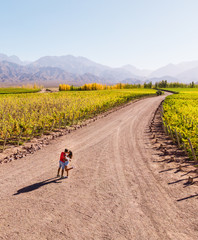Couple in wine vineyard. DRONE. Walking down path leading towards nature, view of mountain background, blue clear sky and green vineyards. Perspective, goal, outdoors, nature, travel concepts. Mendoza