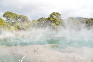 Hot springs in Rotorua, North Island, New Zealand