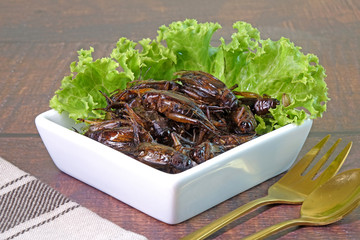 Edible insects : Deep fried crispy cricket.  Entomophagy : Edible insects, other natural sources of nutrients. Famous street food in Thailand. Selective focus.