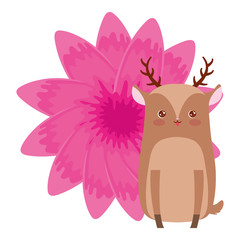 Cute animals design vector illustration