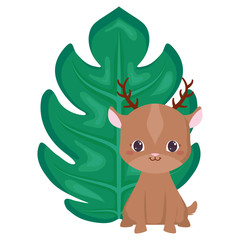 Cute animals design vector illustration