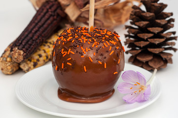 Caramel Apple Fall Still Life