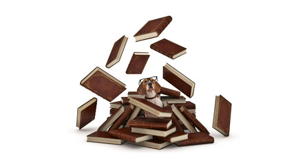dog with glasses and books. 3d rendering
