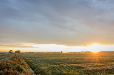 Sunrise over farmland in the Black Dirt section of Pine Island, NY, in late summer