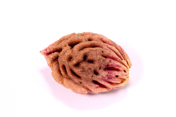 黄金桃の種
