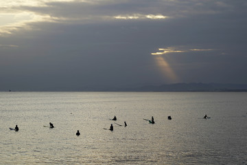 Surfers in the evening of backlight