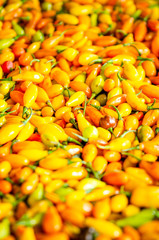 Aji, producto tipico en Puerto Inirida Guainia_ Colombia_ Picante