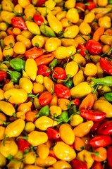 Aji, producto tipico en Puerto Inirida Guainia_ Colombia_ Picante