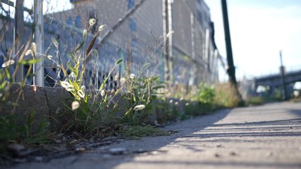 A chain-link fence in a gritty urban area