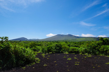 伊豆大島の登山道から見る三原山