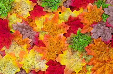 Naklejka na ściany i meble Autumn maple leaves texture. Background made of color red and orange leaves. Flat lay, Top view, Nature background