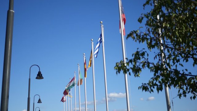 Flags waving in the distance of multiple countries in park