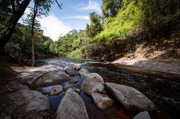 Caños y humedales en las tierras de Puerto Inirida _ Guainia _ Colombia