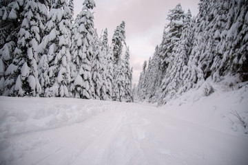 Fototapeta premium Skin trail