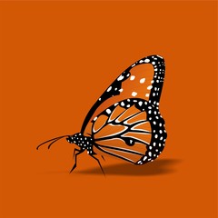 Butterfly icon, Cute Cartoon Funny Character with Colorful Wings, Flying Insect – Flat Design 