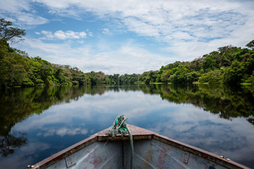 Fototapeta na wymiar Lagunas y bosques en las selvas de Guainia en Colombia