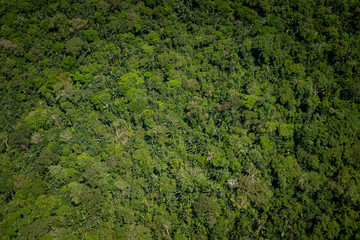 Lagunas y bosques en las selvas de Guainia en Colombia