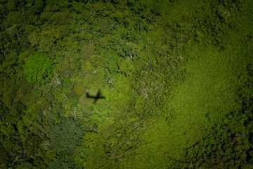 Lagunas y bosques en las selvas de Guainia en Colombia