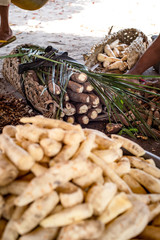 Pez y Yuca Brava, alimentos tipicos de los indigenas en Inirida Guainia