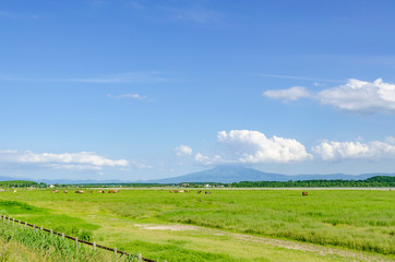 原生花園より東方　青空と草原と