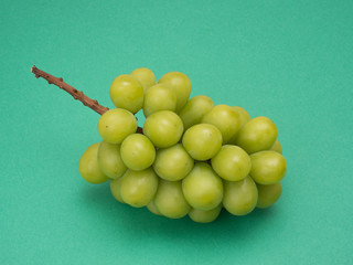 ブドウ　シャインマスカット