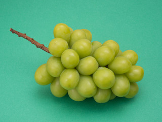 ブドウ　シャインマスカット