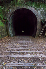 トンネルの向こう側の世界を見に行くぞ！