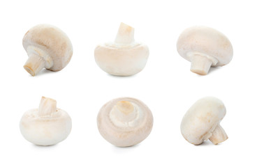 Set of raw mushrooms on white background