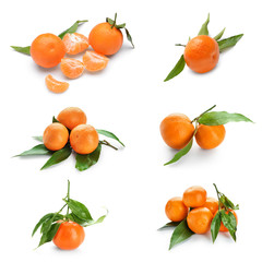Set of tasty juicy tangerines on white background