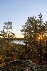 fog over a small forest lake