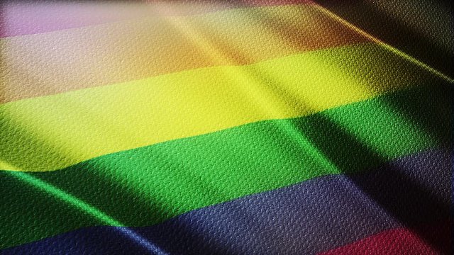Gay pride rainbow Flag