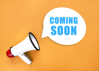 Megaphone on color background