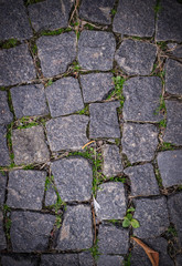 old stoneblock pavement cobbled with square granite blocks with green grass sprouted texture with vignette. background, nature.