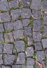 old stoneblock pavement cobbled with square granite blocks with green grass sprouted texture. background, nature.