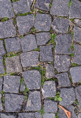 old stoneblock pavement cobbled with square granite blocks with green grass sprouted texture. background, nature.