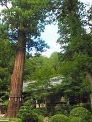 Kawaguchi Asama Jinja in Japan