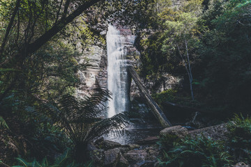 hidden waterfalls and wild Australian bush during a hike in Tasmania