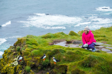 Naklejka na ściany i meble Asian woman enjoy trip a look at Puffins on the Latrabjarg cliffs, a promontory and the westernmost point in Iceland