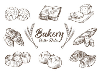 Hand drawn illustration material: bread, bakery set, collection