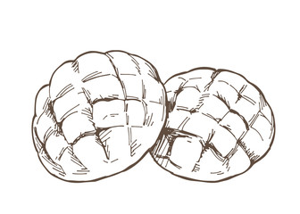 Hand-drawn illustration material: bread, melon bread