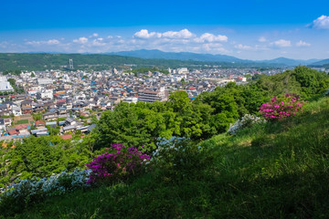 秩父 街並み 羊山公園 見晴らしの丘から