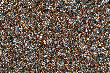 Colorful sea stones