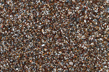 Colorful sea stones