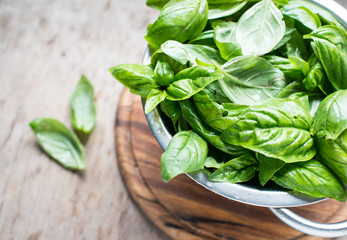 Fresh basil leaves