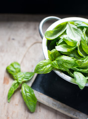 Fresh basil leaves