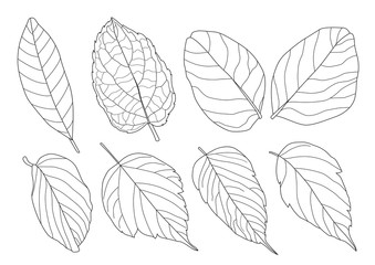 Leaves line single leaf and leaf pattern black Bring to color decorate on white background illustration  vector