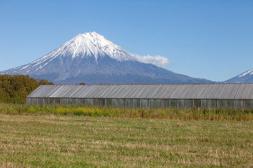 Greenhouses for growing vegetables